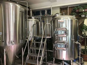 2噸小型精釀啤酒廠生產(chǎn)設(shè)備投資預(yù)算啤酒設(shè)備上門安裝