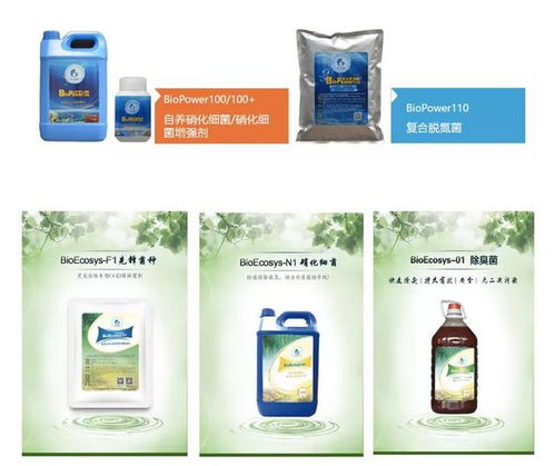 水之國環保 小小微生物,改變大世界