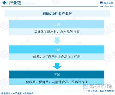 2023年中國輔酶Q10膠囊行業全景速覽:下游需求不斷增長,未來前景廣闊[圖]
