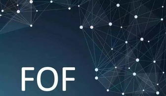 fof 一種能去偽存真的香水