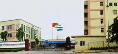 年產(chǎn)值突破1億7千萬(wàn),廣東一紙箱廠向資本市場(chǎng)發(fā)起沖擊