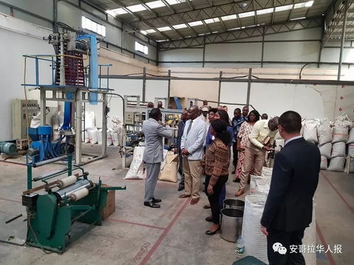 中國(guó)企業(yè)投資的廢品回收和塑料制品廠舉行開業(yè)典禮