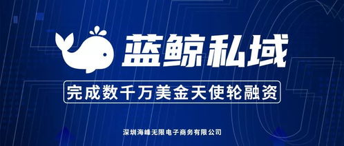 藍鯨私域完成數千萬美元天使輪融資