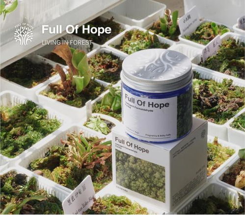 資本市場青睞新消費品牌,家清集團時宜完成數千萬元a輪融資