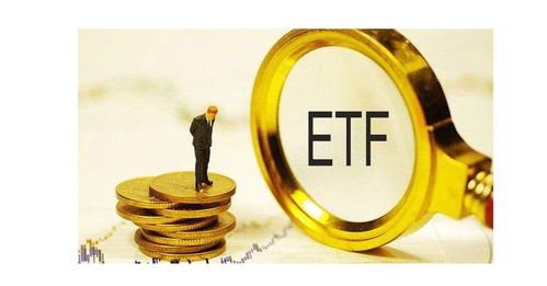 50etf期權(quán)和期貨 , 是一種很相似的 , 投資產(chǎn)品