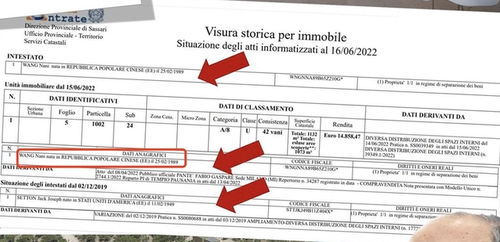 尋找劉強東表妹,揭秘王娜妮資本版圖 關聯19家公司,有的已人去樓空