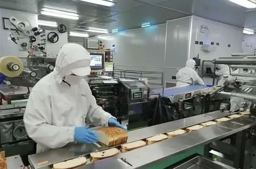 風暴眼 沈陽首富套現46億,桃李面包 內外夾擊