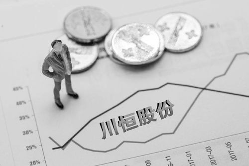 川恒股份豪擲百億再造兩個川恒 市占率領先營收凈利6年止步不前