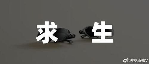 rokid 被資本熱捧背后,難掩生態荒漠真相