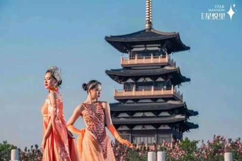 平湖碧桂園 星悅里 地址在哪里 值得購買嗎 是否可以投資