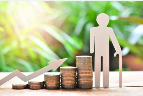 個人養老金業務爭奪戰啟動 看看這家基金公司如何搶占 風口