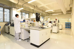 泰州新工廠竣工雀巢持續投資中國市場