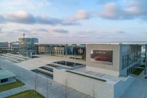 新能源彎道超車 華人運通丁磊與資本的機遇與挑戰