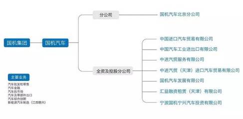 資本驅動下的行業變革 中國恒天整體并入國機集團，經銷商集團跨界造車之路